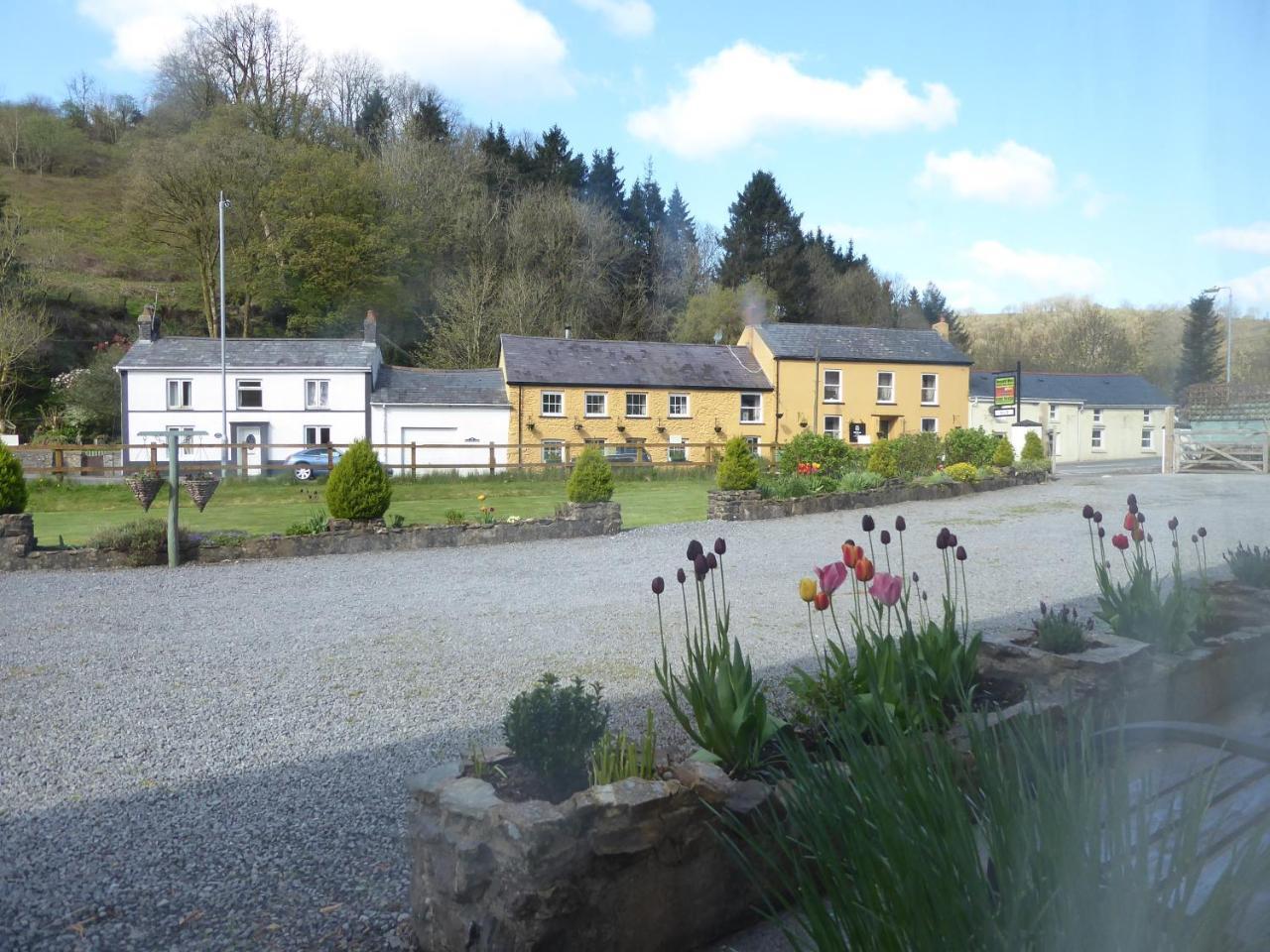 Neuadd Wen Guest House 卡马森 外观 照片