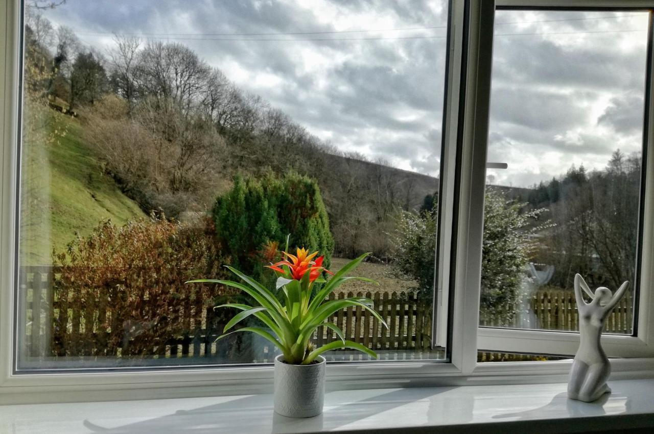 Neuadd Wen Guest House 卡马森 外观 照片